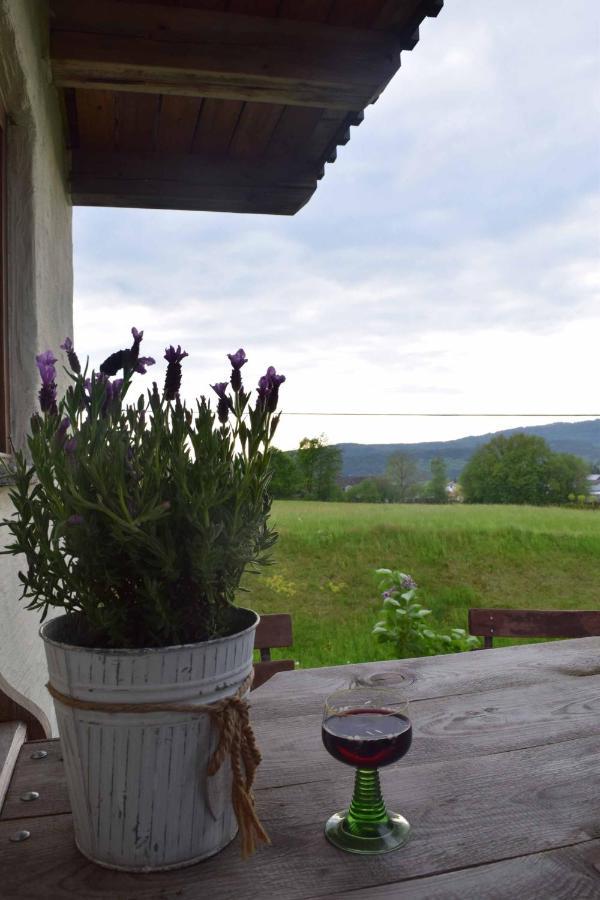 Birken Chalet Falkenfels المظهر الخارجي الصورة